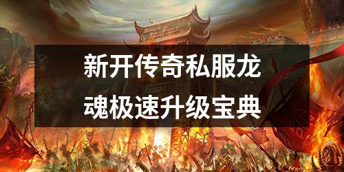 新开传奇私服龙魂极速升级宝典 新开传奇私服龙魂极速升级宝典