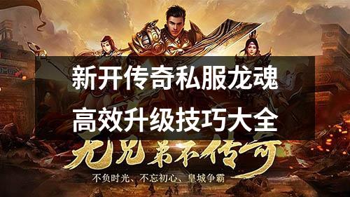 新开传奇私服龙魂高效升级技巧大全 新开传奇私服龙魂高效升级技巧大全